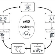 Het eGG systeem